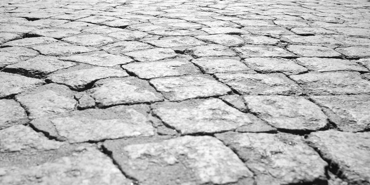 What’s the Difference? The Cost of Pavers vs Concrete