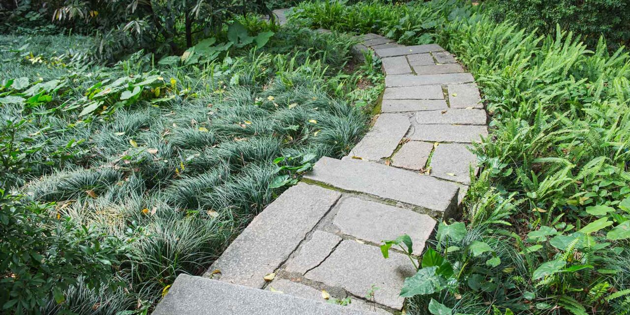 Driveway Paving And Landscaping Integration
